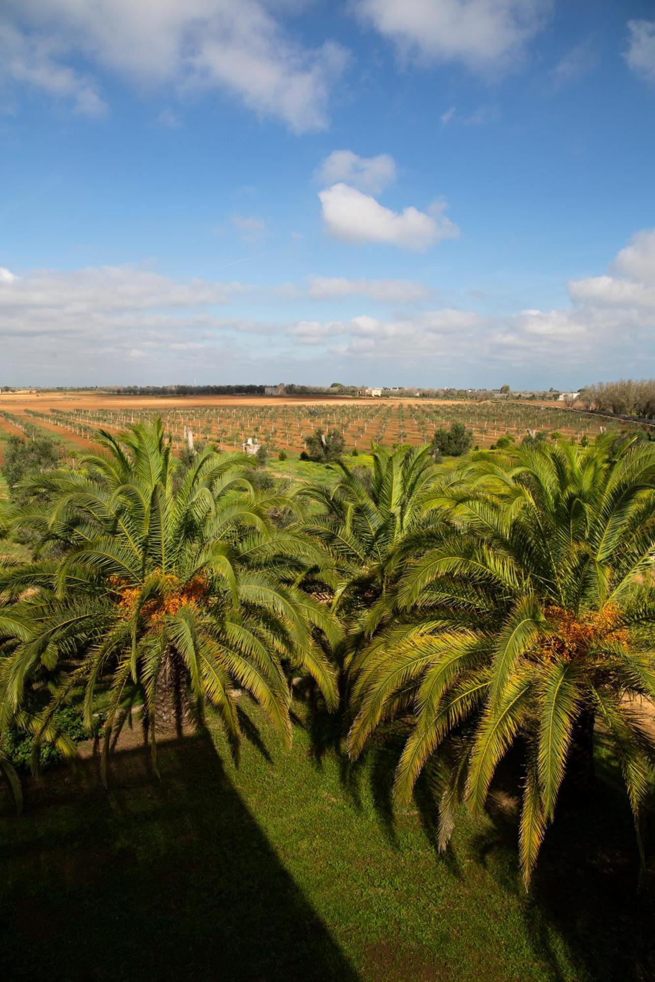 Tenuta Afra Squinzano Buitenkant foto